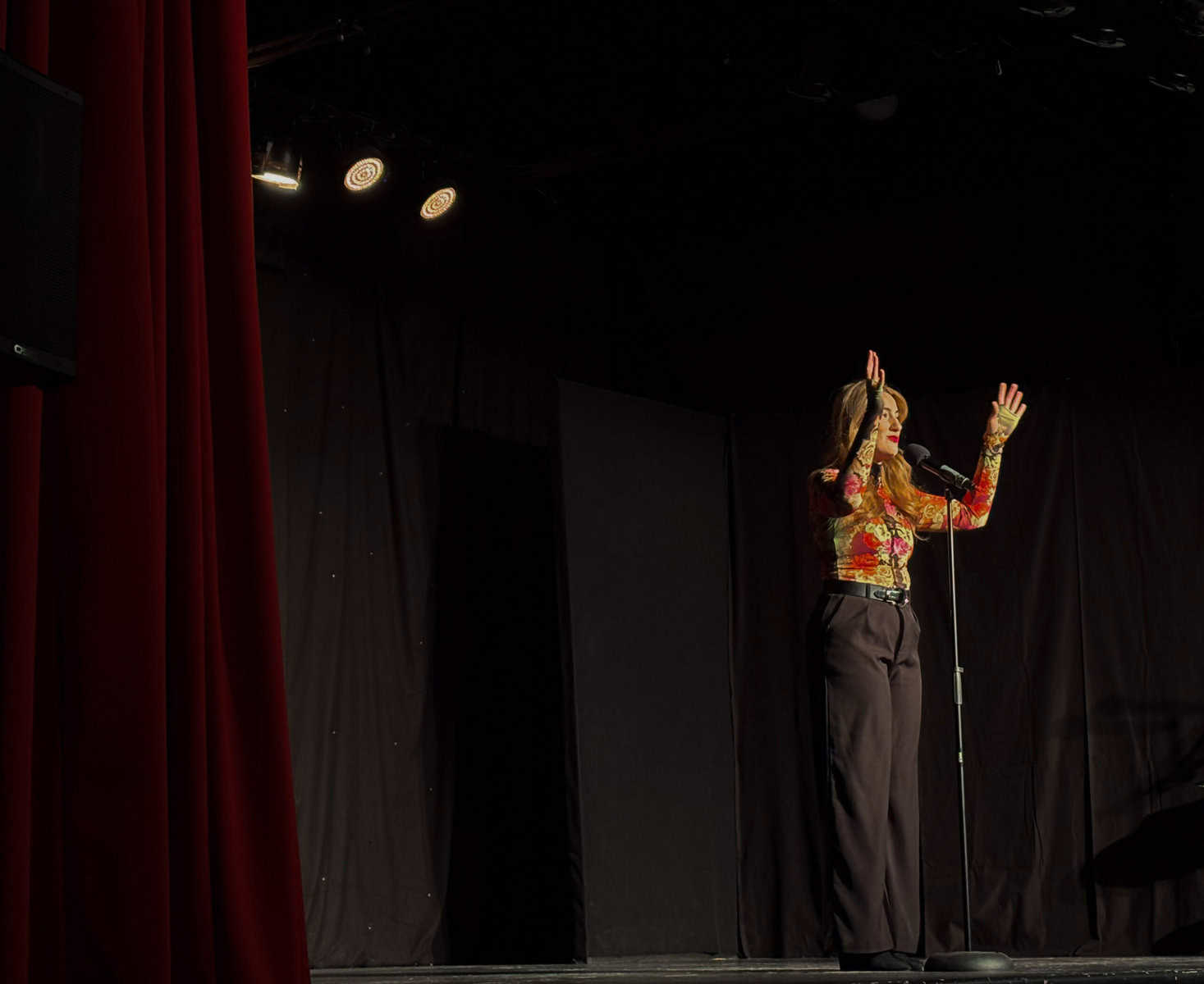 Professional Music Lessons